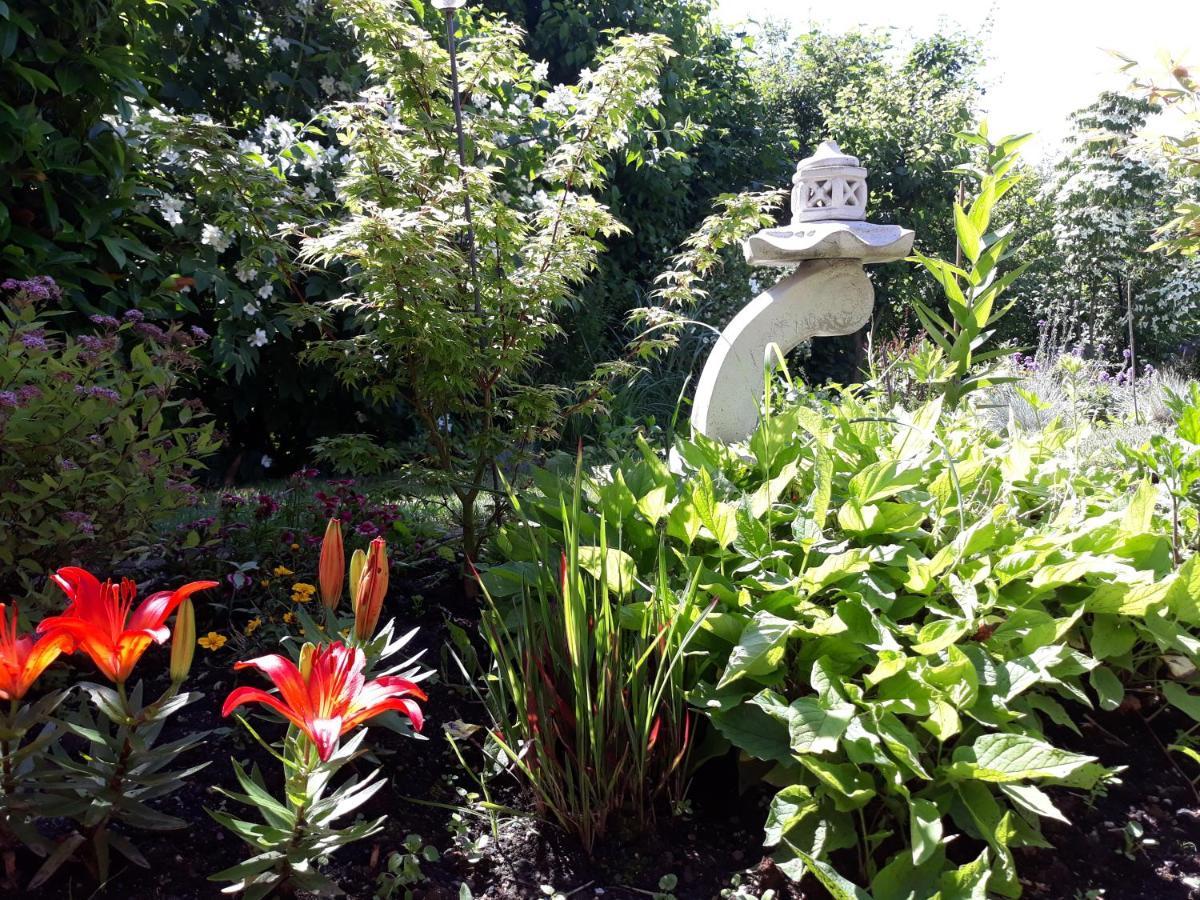 Ferienwohnung Hameln Jasmin ฮาเมลน์ ภายนอก รูปภาพ