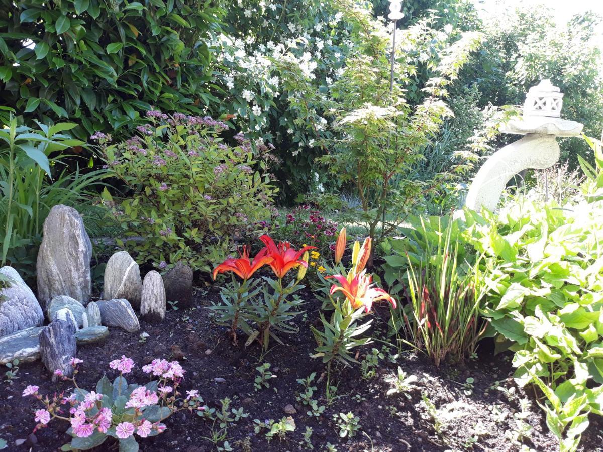 Ferienwohnung Hameln Jasmin ฮาเมลน์ ภายนอก รูปภาพ